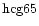 ${\rm hcg65 }$