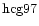 ${\rm hcg97 }$