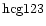 ${\rm hcg123 }$
