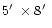$5\hbox{$^\prime$ }\times 8\hbox{$^\prime$ }$