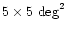 $5\times 5
\mbox{ deg}^2$