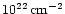 $\rm 10^{22}\,cm^{-2}$