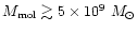 $M_{\rm mol} \gtrsim 5 \times 10^9~M_\odot$