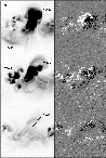 \begin{figure}
\par\includegraphics[width=8.5cm,clip]{MS1275f3.eps}\end{figure}
