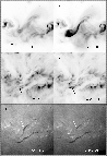 \begin{figure}
\par\includegraphics[width=8.5cm,clip]{MS1275f5.eps}\end{figure}