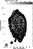 \begin{figure}
\par\resizebox{\hsize}{!}{\includegraphics{MS1357F04.eps}}\end{figure}