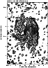 \begin{figure}
\par\resizebox{\hsize}{!}{\includegraphics{MS1357F05.eps}}\end{figure}