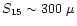 $S_{\rm 15}\sim
300~\mu$