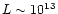$L\sim 10^{13}$