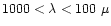 $1000<\lambda<100\ \mu$