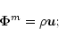 \begin{displaymath}
\vec{\Phi }^{m}=\rho \vec{u};
\end{displaymath}