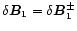 $ \delta \vec{B}_{1}=\delta \vec{B}_{1}^{\pm
} $