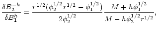 $\displaystyle \frac{\delta B^{-h}_{2}}{\delta B^{h}_{1}}=\frac{r^{1/2}(\phi ^{1...
...2}_{1})}{2\phi ^{1/2}_{2}}\frac{M+h\phi ^{1/2}_{1}}{M-h\phi ^{1/2}_{2}r^{1/2}},$