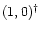 $(1,0)^{\dag }$