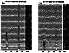 \begin{figure}
\resizebox{\hsize}{!}{\includegraphics[angle=90]{fig_a3_1.eps}}\end{figure}