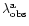 $\lambda_{\rm obs}^{\rm a}$