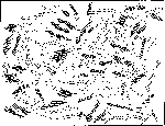 \begin{figure}
\par\includegraphics[width=13.1cm,clip]{h2968f4.ps}\end{figure}