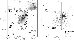 \begin{figure}
\includegraphics[width=9cm,clip]{MS1281f1a.eps}\hspace*{6mm}
\includegraphics[width=8.2cm,clip]{MS1281f1b.eps}\par\end{figure}