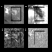 \begin{figure}
\par\includegraphics[width=8.8cm]{fig1_2629.ps}\end{figure}