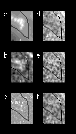 \begin{figure}
\par\includegraphics[width=8.8cm]{fig2_2629.ps}\end{figure}