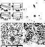 \begin{figure}\includegraphics[width=17cm,clip]{MS1209f9.ps}
\end{figure}