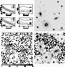 \begin{figure}\includegraphics[width=17cm,clip]{MS1209f11.ps}
\end{figure}