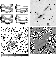 \begin{figure}\includegraphics[width=17cm,clip]{MS1209f12.ps}
\end{figure}