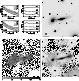 \begin{figure}\includegraphics[width=17cm,clip]{MS1209f13.ps}
\end{figure}