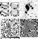 \begin{figure}\includegraphics[width=17cm,clip]{MS1209f19.ps}
\end{figure}