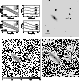 \begin{figure}\includegraphics[width=17cm,clip]{MS1209f20.ps}
\end{figure}