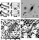 \begin{figure}\includegraphics[width=17cm,clip]{MS1209f22.ps}
\end{figure}