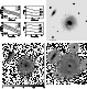 \begin{figure}\includegraphics[width=17cm,clip]{MS1209f24.ps}
\end{figure}