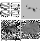 \begin{figure}\includegraphics[width=17cm,clip]{MS1209f26.ps}
\end{figure}