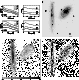 \begin{figure}\includegraphics[width=17cm,clip]{MS1209f30.ps}
\end{figure}