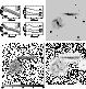 \begin{figure}\includegraphics[width=17cm,clip]{MS1209f33.ps}
\end{figure}
