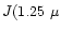 $J(1.25~\mu$