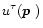 $u^\tau(\mbox{\boldmath$p$ })$