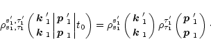 \begin{displaymath}
\rho^{s'_1,\tau'_1}_{s_1,\tau_1}\left({\mbox{\boldmath$k$ }'...
...mbox{\boldmath$p$ }'_1\atop\mbox{\boldmath$p$ }_1}\right)\cdot
\end{displaymath}