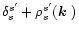 $\delta_s^{s'} + \rho_s^{s'}(\mbox{\boldmath$k$ })$