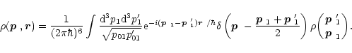 \begin{displaymath}
\rho(\mbox{\boldmath$p$ },{\vec r})=\frac{1}{(2\pi\hbar)^6}\...
...l({\mbox{\boldmath$p$ }'_1\atop\mbox{\boldmath$p$ }_1}\biggr).
\end{displaymath}