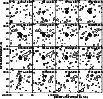 \begin{figure}
\includegraphics[width=9cm,clip]{FigsAPPENDIX/bravo.figB11.ps}
\end{figure}