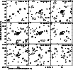 \begin{figure}
\includegraphics[width=9cm,clip]{FigsAPPENDIX/bravo.figB16.ps}
\end{figure}