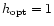$h_{\rm opt} = 1$