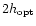 $2 h_{\rm opt}$