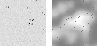 \begin{figure}
\par\hbox{
\resizebox{4cm}{!}{\includegraphics{MS1516f1a.ps}}\hspace{0.4cm}
\resizebox{4cm}{!}{\includegraphics{MS1516f1b.ps}} }
\end{figure}