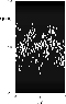 \begin{figure}
\par\includegraphics[width=7cm,clip]{bk1684f7.eps} \end{figure}