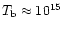 $T_{\rm b} \approx 10^{15}$