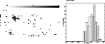 \begin{figure}
\includegraphics[width=17cm,clip]{H2937f15.ps}\end{figure}