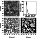 \begin{figure}
\par\includegraphics[width=88mm,clip]{jmkf4.eps}
\end{figure}