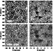 \begin{figure}
\par\includegraphics[width=88mm,clip]{jmkf17.eps}
\end{figure}